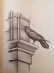 Untitled 11